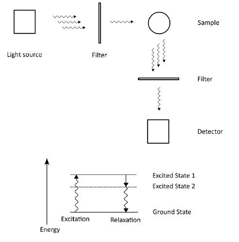 EV82 Chlorophyll Sensor
